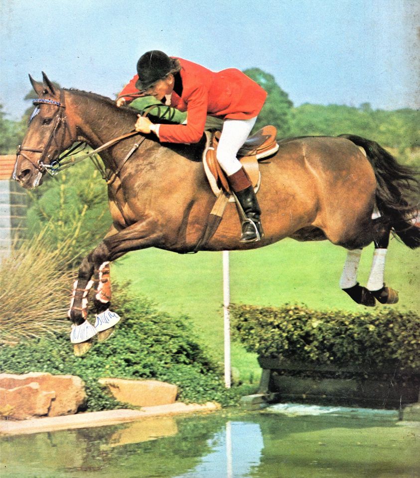 Tony Newbery - Showjumping Rider